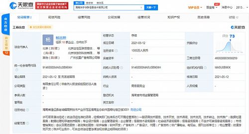 快手海南布局再落子 新设数据服务公司，注册资本1000万元彰显战略深耕